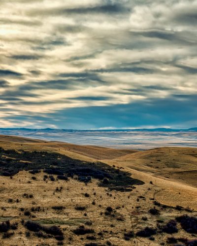 Oregon Land